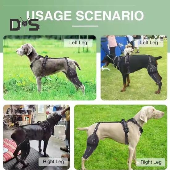 Фиксатор колена для задней ноги собаки Фиксатор колена для бедра собаки Поддержка передней крестообразной связки при дисплазии тазобедренного сустава у собак Артрит Вывих коленной чашечки
