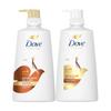 Nourishing Oil Care 680ml Shampoo/Conditioner/1 Type To Choose from