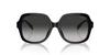 Sunglasses HC8395F CR962 BLACK 56 [Coach] Women's