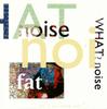 CD WHAT? NOISE - Fat BND8CD Brave Records 1990 Japan Dance & Electronica Used