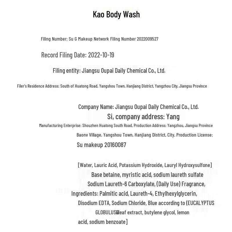 Kao Hair Care Shampoo