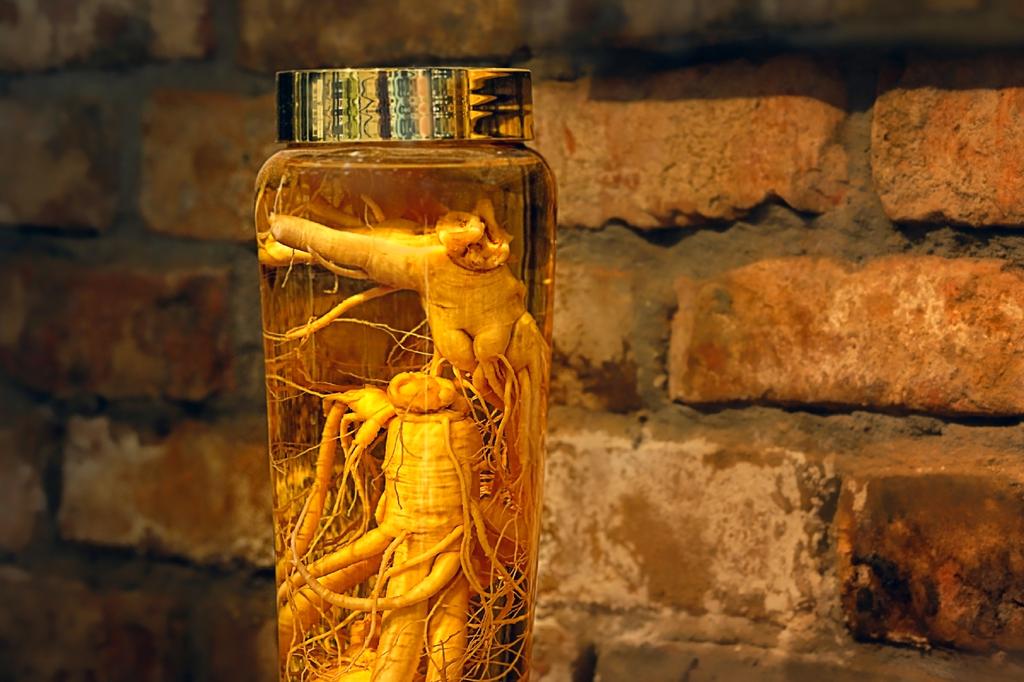 SAFLAX Garden in the Bag - Корейский женьшень - 10 семян - С субстратом в подходящем пакете-стойке - Женьшень Panax