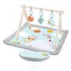 Bright starts Winnie the Pooh Tummy Time Activity Gym Baby Baby Play 13124 (0 Months) - Gym, Mat, Gym, Blue,