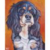 5D алмазная живопись собака вышивка крестиком животное вышивка полная круглая мультяшная картина из стразов мозаичное украшение для дома