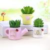 Succulent Potted Plants Bonsai Micro Landscape Fashion Home Creative Desktop Resin Decoration