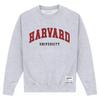 Harvard University Unisex Adult Script Sweatshirt