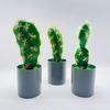 Cactus With Plastic Flowers For Indoor Home And Office Decor