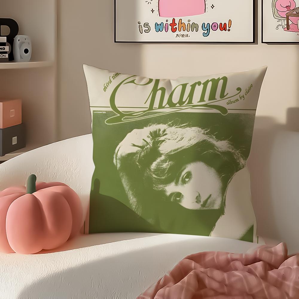 Singer CClairo Charm Наволочка для подушки-подушки Короткий плюш Невидимая молния Комната Диван Чехол на подушку