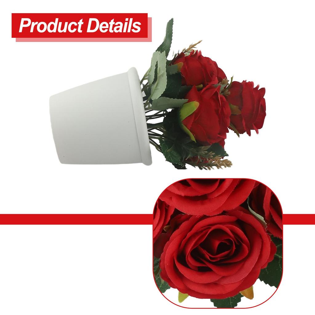 Изысканный цветок розы освежающее домашнее растение в пластиковом горшке