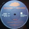 12inch Record SUNVIBE - Dreamer 3984217590 WEA 1998 Germany Rap & Hip-Hop/R&B Used