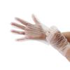 100 PCS Disposable TPE Gloves Food Service