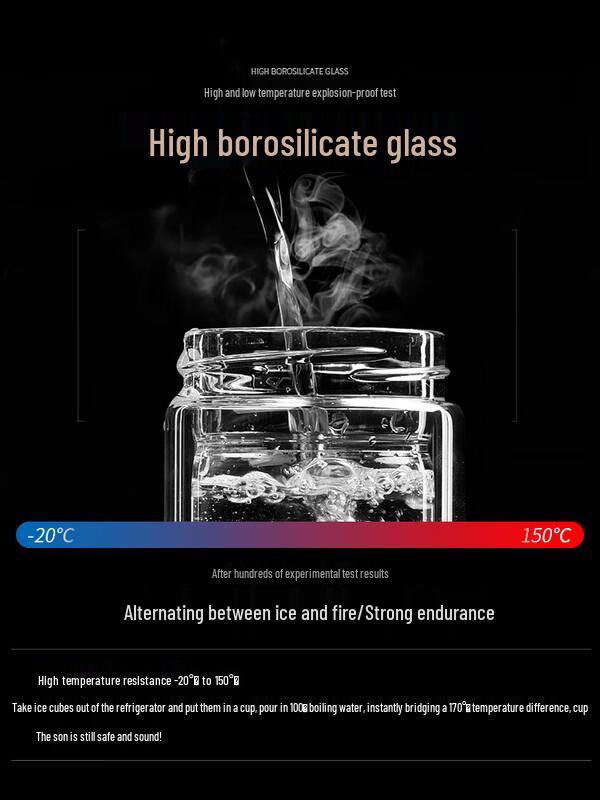 Double-Layer Glass Tea Infuser Bottle