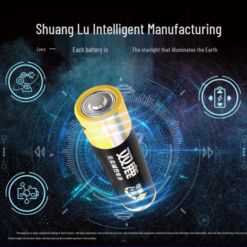 Shuanglu AA Alkaline Batteries CN plug (adapter included)