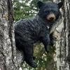 Funny Black Bear Napping Hanging Out In A Tree Figurine - Outdoor Tree Decor & Garden Sculpture