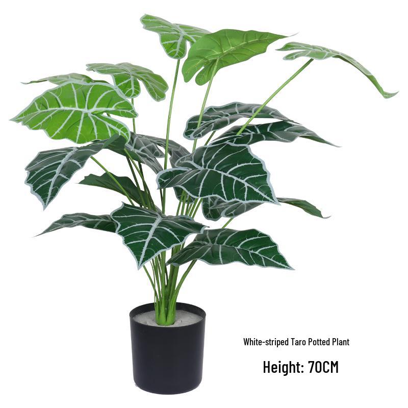 Potted Turtle Back Bonsai: Faux Floor Plant Decoration - Small Green Simulation Ornaments for Living Room