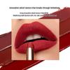 Perfect Diary Slim Velvet Lipstick