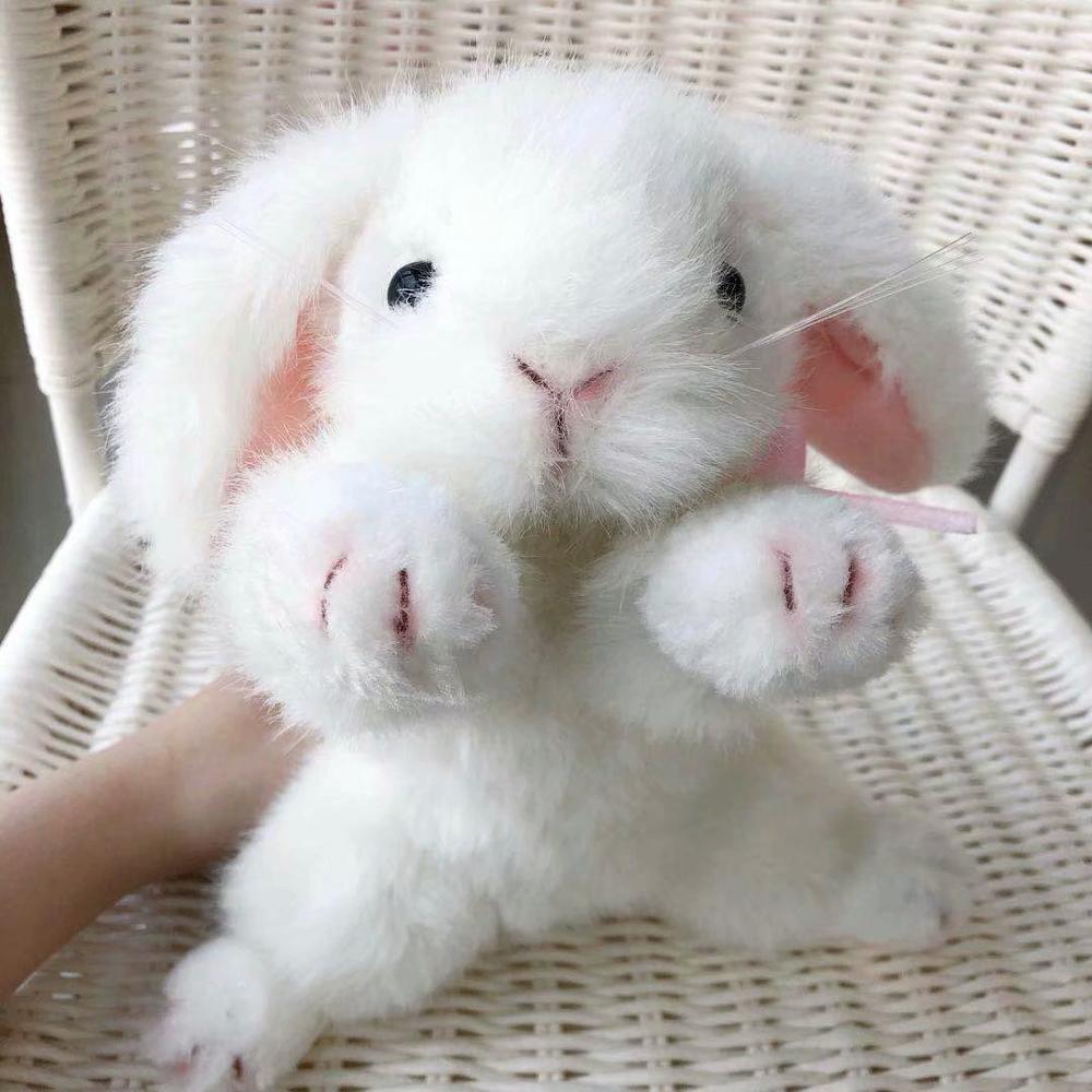 Super High Quality Simulation Plush White Rabbit Lifestyle Rex Bunny Neck Bow Home Decor Girl Room Decor Stuffed Animal Doll