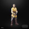 Hasbro Star Wars STAR WARS Black Series Jedi Master Acolyte Collection 6 дюймов Фигурка G0013 Подлинный продукт Sol, (15см)