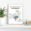 The Human Nervous System Human Brain Anatomy Brain Function Poster Print Wall Art Canvas Painting for Therapy Office Decor