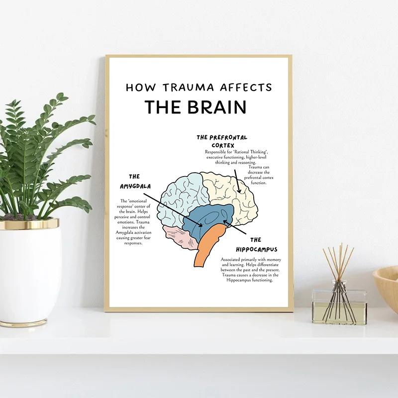 The Human Nervous System Human Brain Anatomy Brain Function Poster Print Wall Art Canvas Painting for Therapy Office Decor