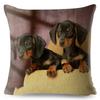 Милый домашний питомец собака миниатюрная такса принт наволочка 45*45 квадратные наволочки льняная наволочка диван домашний декор наволочки
