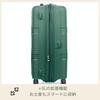 Чемодан-переноска INSTAGON Spinner Expandable TSA 69 см Sage Green [American Tourister] 69/25 79/87 л 3,9 кг