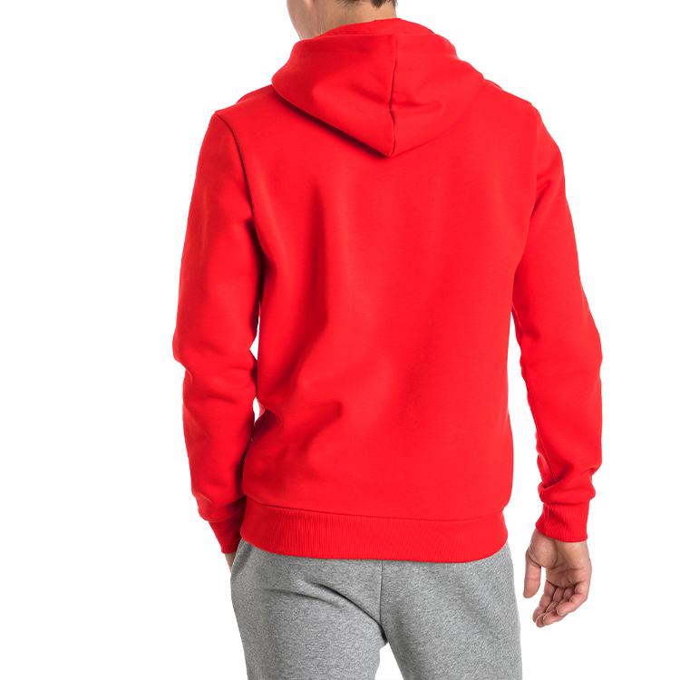 Puma Casual Drawstring Hoodie With Fleece Lining And Print Men Hoodies Red 851743-05