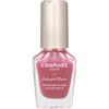 Canmake Colorful Nails N118 Pink Genic 8мл Лак для ногтей Высокий цвет Быстросохнущий Розовый