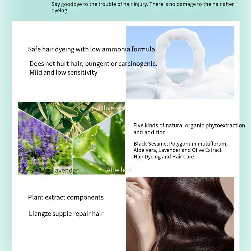 Растительная краска для волос Шампунь Перманентная пузырьковая краска Растительная краска для волос Крем-краска для блеска Мягкое восстановление волос Формула без аммиака