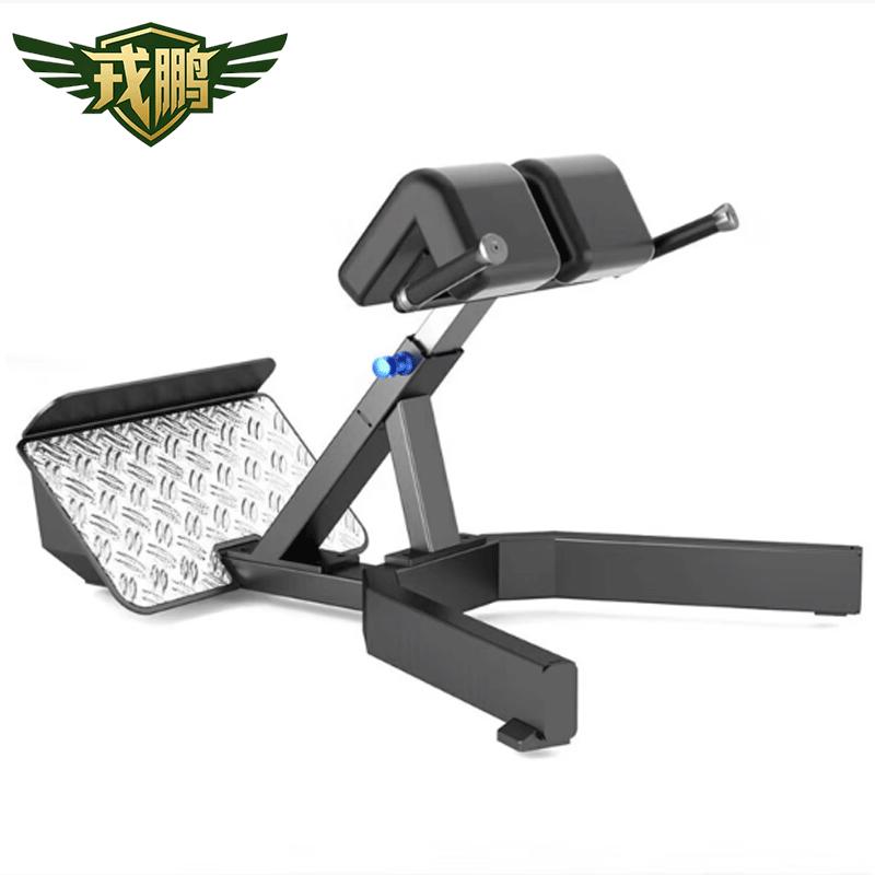 Adjustable Roman Chair & Hyperextension Bench