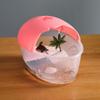 Removable Animal Water Tank Recyclable Egg-shape Container Box Turtle Hydroponic Box Indoor