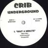 12-дюймовая пластинка VARIOUS - Untitled MTM5060 CRIB UNDERGROUN 2000 US Рэп и хип-хоп/R&B Б/у
