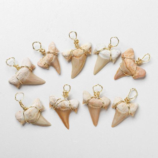 Привлекательное ожерелье Тонкая работа Сплав Подвеска в форме зуба акулы Ожерелье для повседневной носки