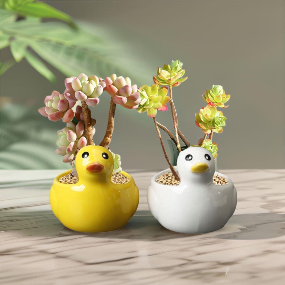 Милый суккулент, цветочный горшок, креативная гидропонная ваза, керамический цветочный горшок в виде утки, спальня
