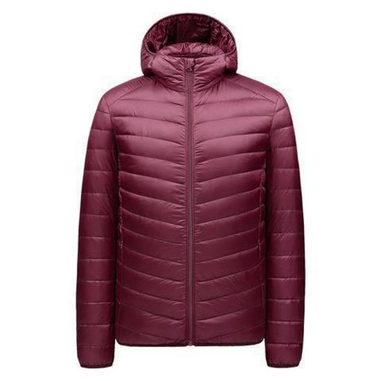 Men's Korean Style Slim Hooded Winter Down Jacket