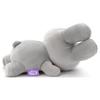 Bruna Sleeping Friend Plush Toy S Rabbit Width 19cm (Gray) Approx.