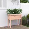 VidaXL Planters with Legs 70x31x70 Cm Solid Douglas Wood 837560