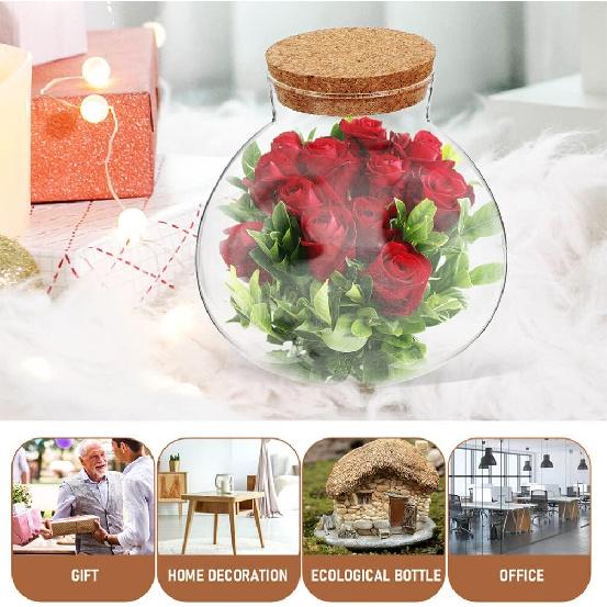 BESPORTBLE Round Glass Jars with Cork, Small Round Glass Dome Clear Cloche Globe Display Bell Jar Round Terrarium for Flower Dollhouse Mini Figure