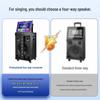 Philips SD289D Portable Karaoke Speaker CN plug (adapter included) (CN version)