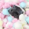 House Filler Supply Keep Warm Small Animals Mouse Cotton Ball Thermal Products Cotton Cute Cage