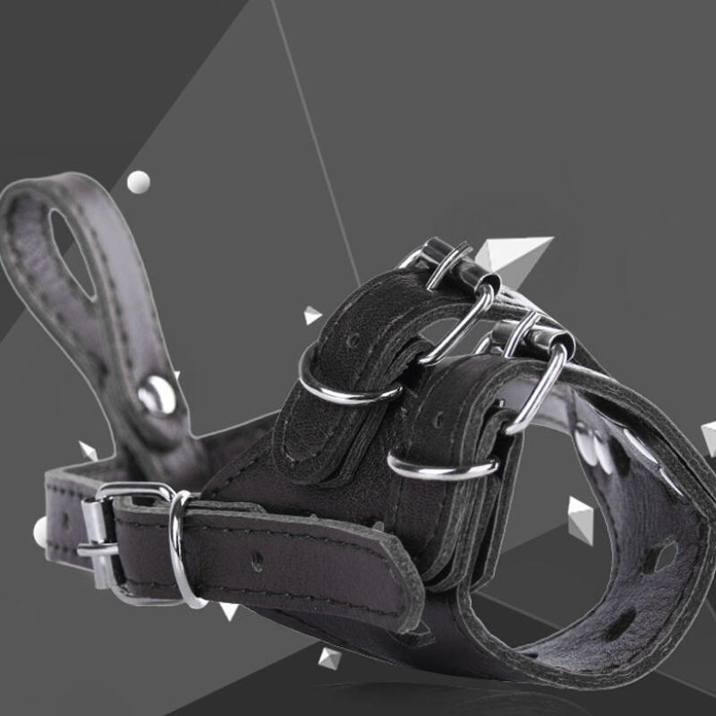 Dog, Large Dog, Small Dog, Anti-Barking Leash, Muzzle