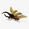 Butterfly Hercules Beetle Iron On Heat Transfer Printing Vinyl Patches Sticker for Clothes DIY Appliques Washable Patches