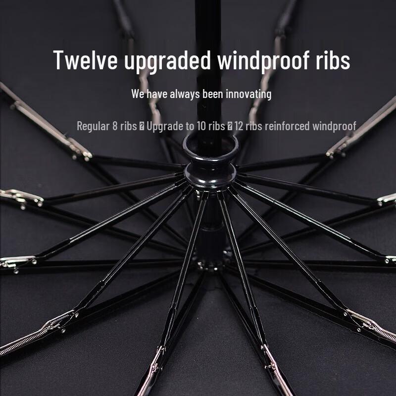 Hongye Extra-Large 12-Rib Automatic Windproof Folding Umbrella