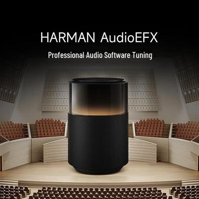 Умная колонка Xiaomi Sound Pro вилка CN (адаптер в комплекте)