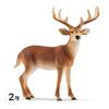 Schleich White-Tailed Stag Figure SL14818, 2 Pieces, Popular Toys In Korea