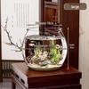 Betta Fish Viewing Tank: Compact Ecological Aquarium for Small Goldfish—Stylish Plastic Design for Home or Office Display