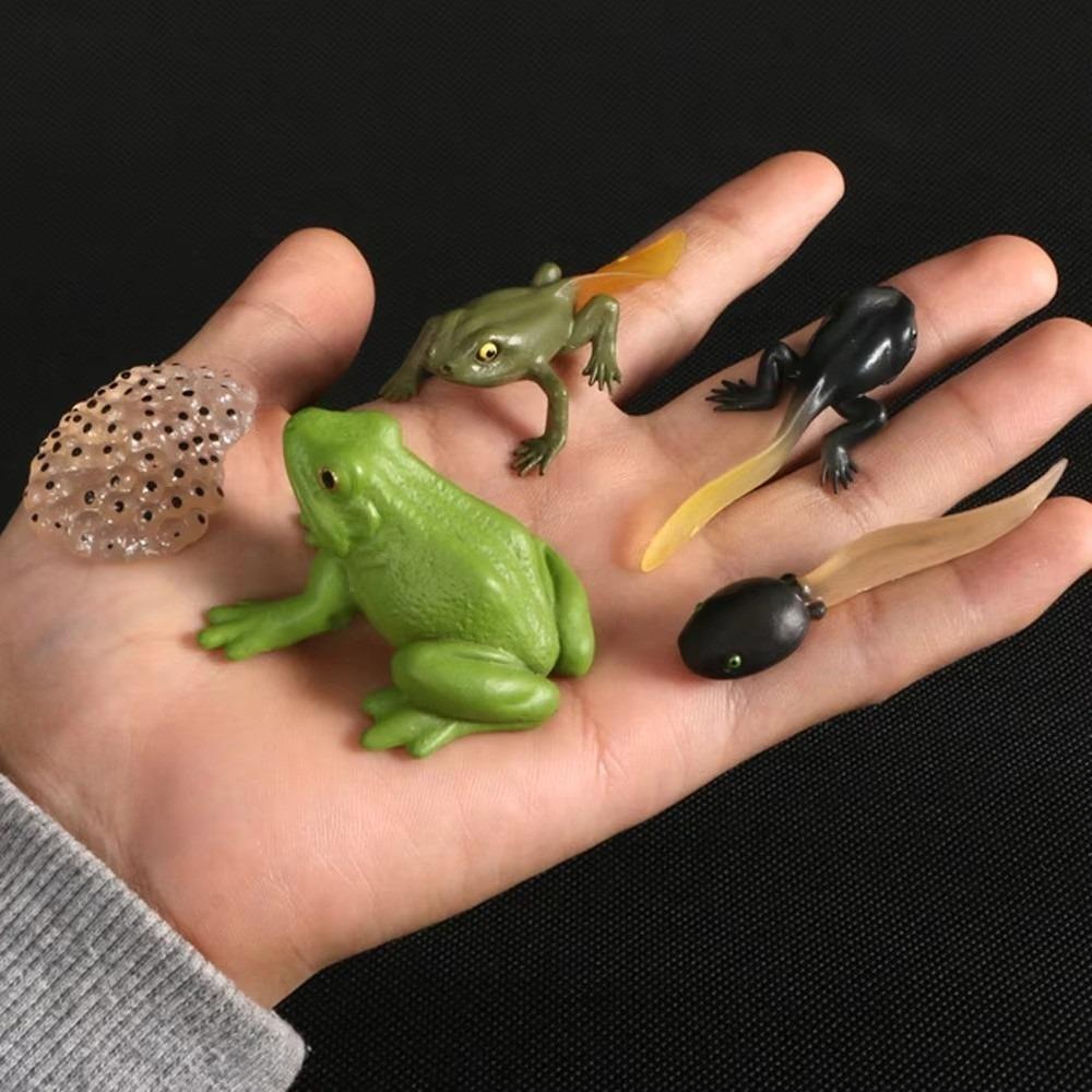4 Pcs/Set Miniature Size Life Cycle Figurines Simulation Animal Models for Kids Educational Play