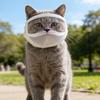 Сетчатый намордник для кошки с защитным чехлом на голову для груминга и визитов к ветеринару
