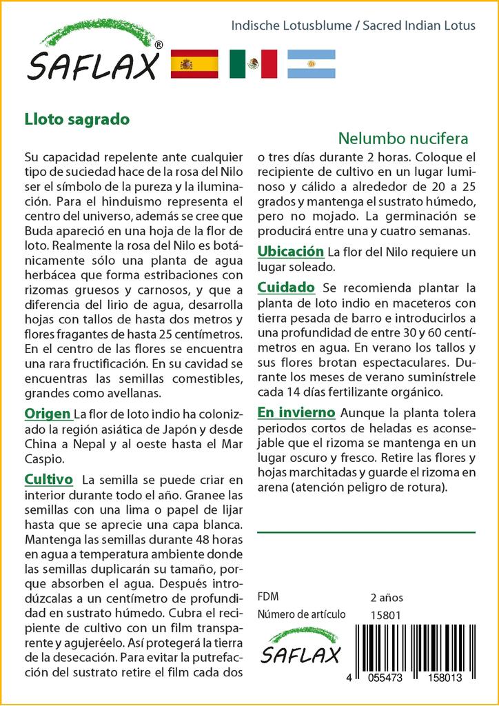 SAFLAX Garden in the Bag - Священный индийский лотос - 8 семян - С субстратом в подходящем пакете - Nelumbo nucifera