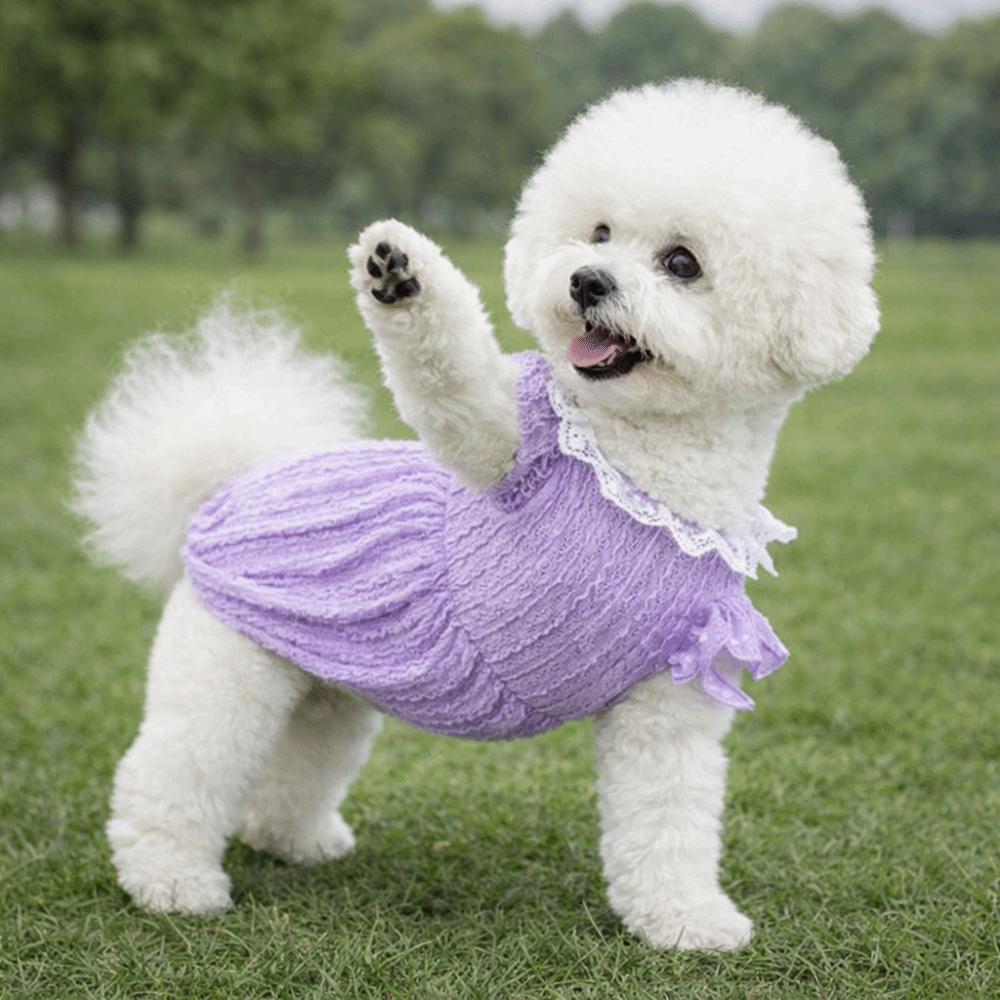 Comfortable Puppy Princess Dress Lace Collar Dog Tutu Skirt Fashion Pet Clothing Daily Wear